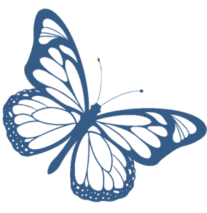 Butterfly Image